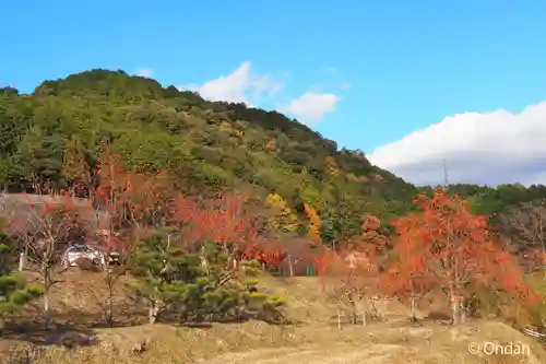 禅定寺(京都府)