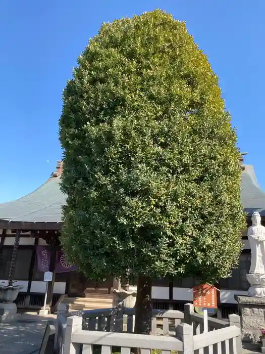 明王院の建物その他