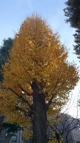 蛇窪神社の自然