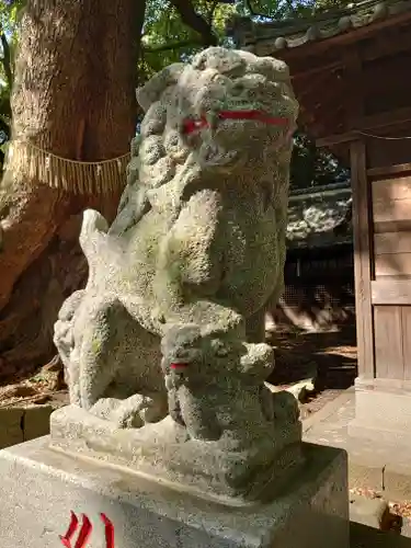 廣野神社の狛犬