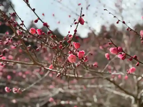 大洞院(静岡県)