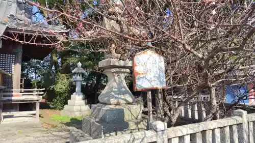 中津神社(大分県)