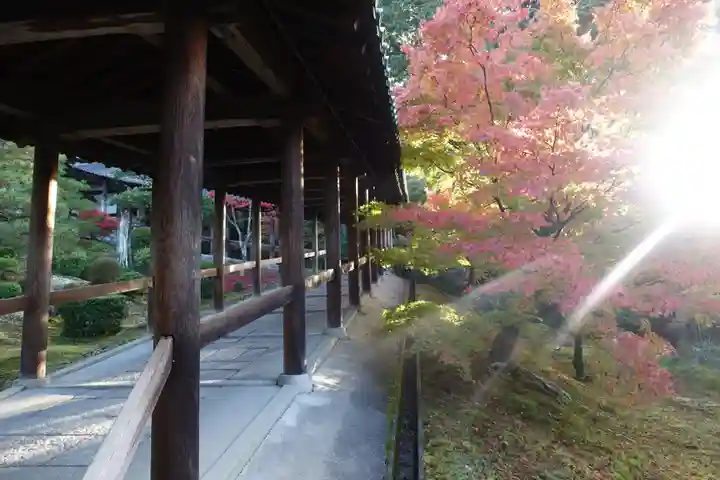 東福禅寺(東福寺)(京都府)