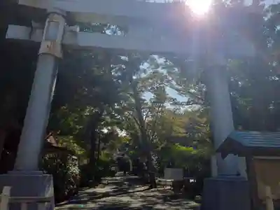 八幡神社(秋田県)