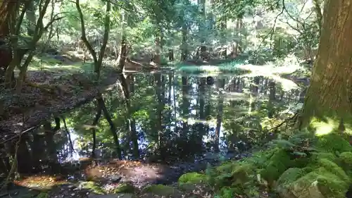 平泉寺白山神社の建物その他