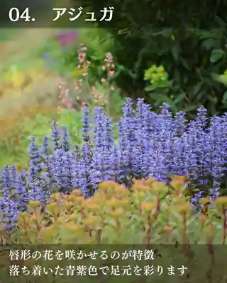 宝光寺(北海道)
