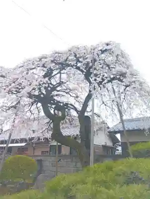 寛立院（曼陀羅寺塔頭）(愛知県)