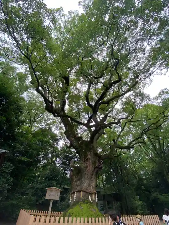 熱田神宮の自然