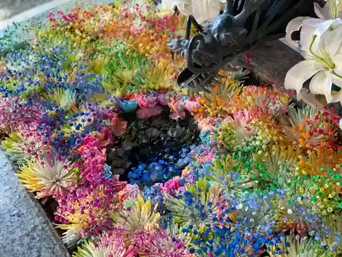 札幌諏訪神社の手水舎