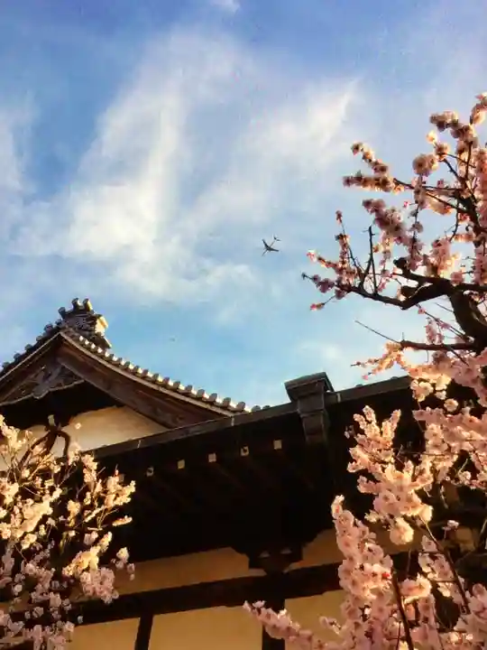 瑞円寺(東京都)