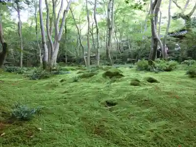 祇王寺(京都府)