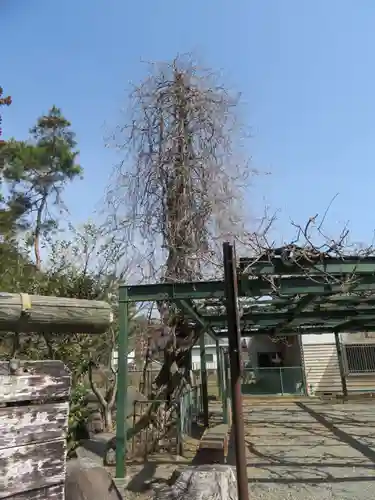 山梨岡神社の建物その他