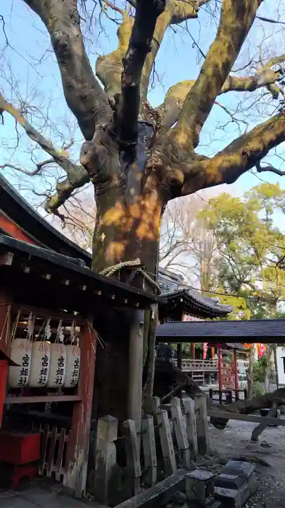 武信稲荷神社(京都府)