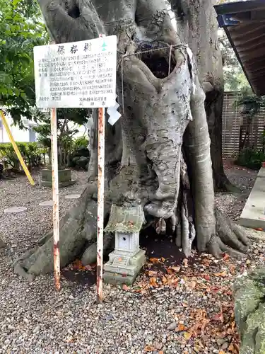 三皇熊野神社本宮の建物その他