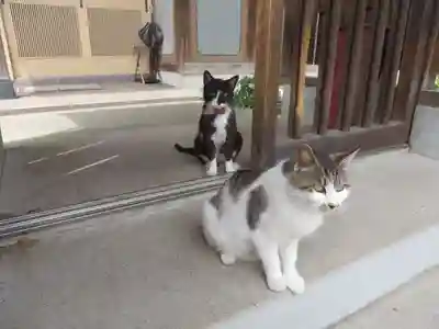 妙雲寺(岐阜県)