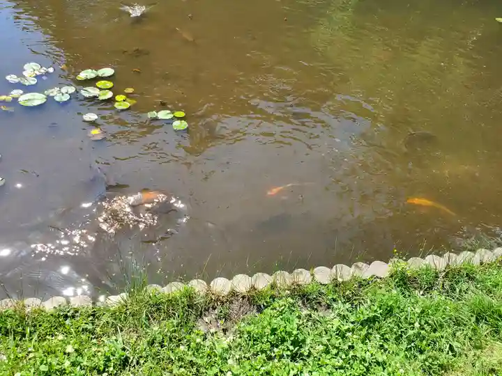 満願寺(栃木県)