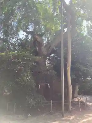 八坂神社(茨城県)