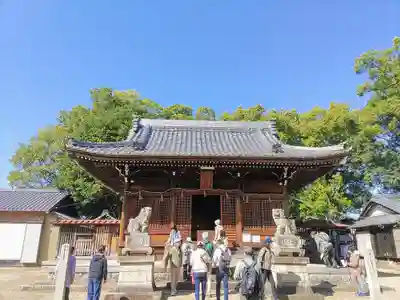 若宮八幡宮の本殿・本堂