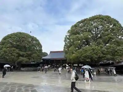 明治神宮(東京都)