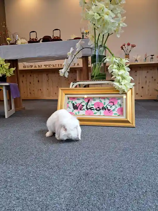 徳島眉山天神社(徳島県)