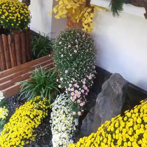 牛天神北野神社の庭園