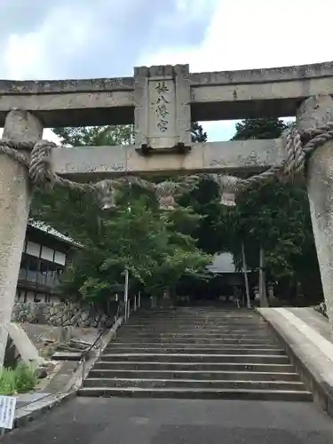 椿八幡宮の鳥居