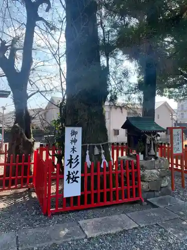 本宮神社の自然