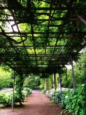 妙法寺(東京都)
