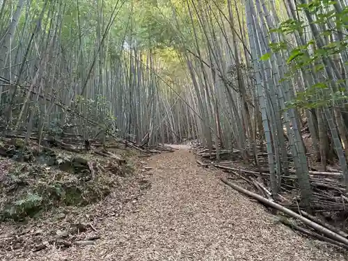 天一神社(徳島県)