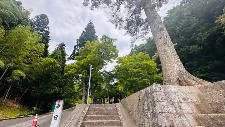 春日神社(京都府)