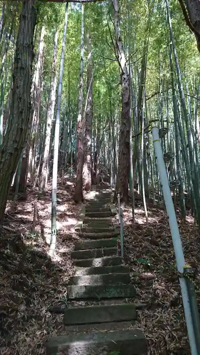 白山神社(岩手県)