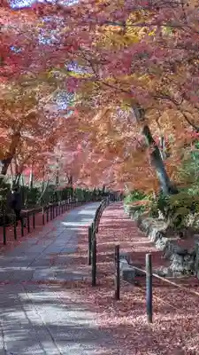 光明寺（粟生光明寺）(京都府)