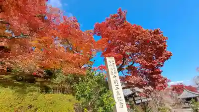 善峯寺(京都府)
