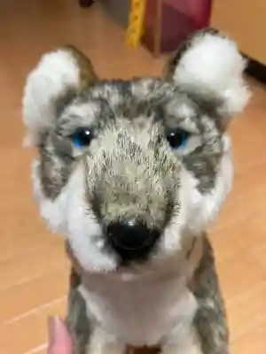 三峯神社(埼玉県)