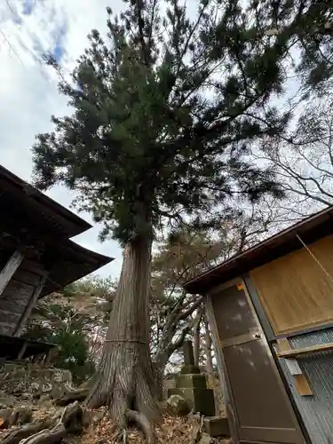 龍興山神社(青森県)