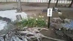 横根稲荷神社の自然