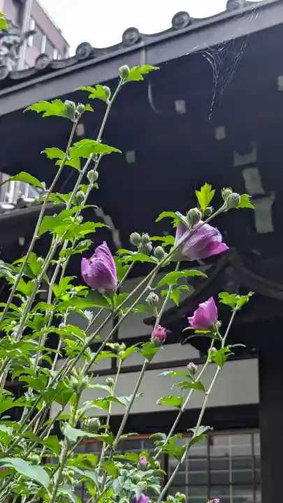 瑞泉寺(京都府)