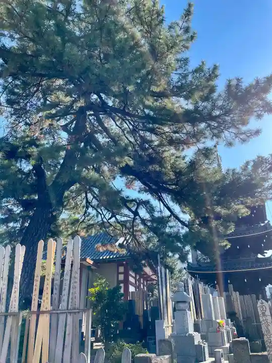 本光寺(東京都)