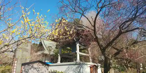 瑞雲寺のその他建物