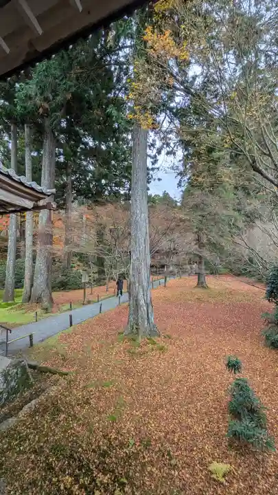 三千院門跡(京都府)