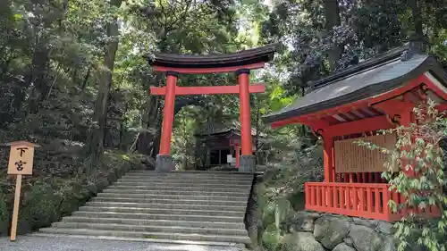 宇佐神宮の鳥居