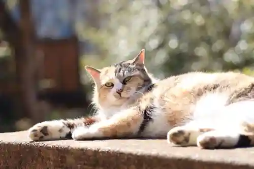 玉野御嶽神社(愛知県)