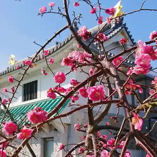 寿量山　速成寺の自然