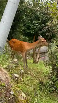 熊野那智大社(和歌山県)
