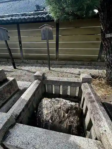 東寺（教王護国寺）(京都府)