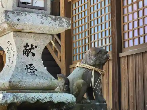 福良天満宮の狛犬