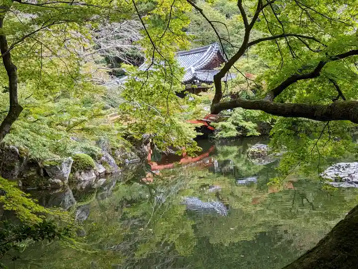 醍醐寺(京都府)