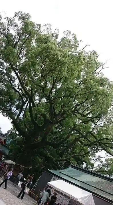 熊野那智大社の自然