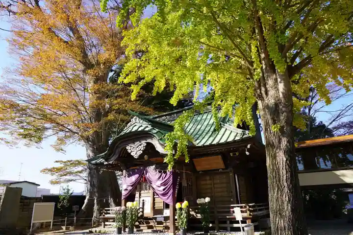 鹿島御子神社の本殿・本堂