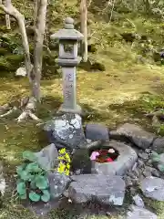 霊鑑寺門跡(京都府)